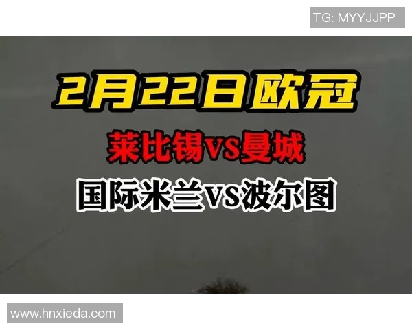 欧冠精彩对决莱比锡3-0波尔图绝杀瞬间引爆全场十大进球回顾